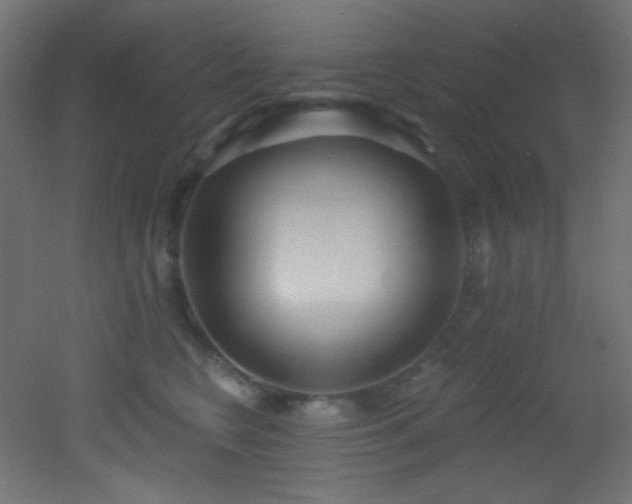 X0000053160566200507111510