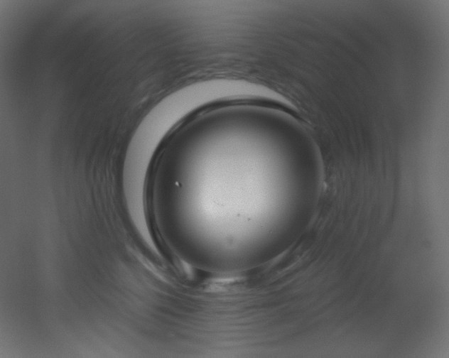 X0000053160568200507111510
