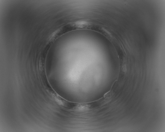 X0000053160569200507111510