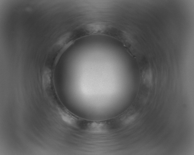 X0000053160570200507111510