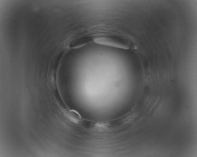 X0000053160573200507111510