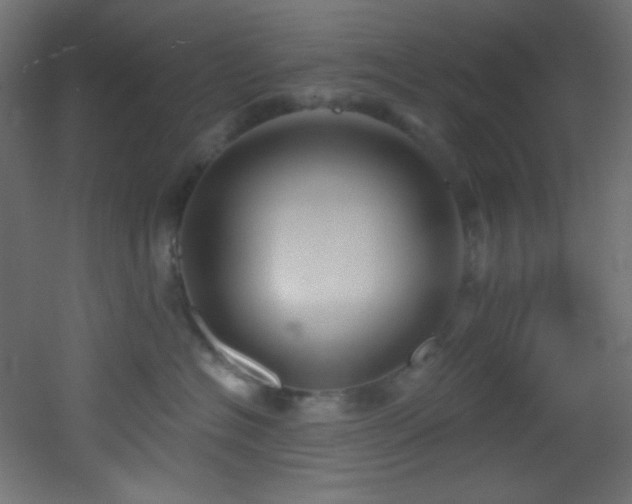 X0000053160574200507111510