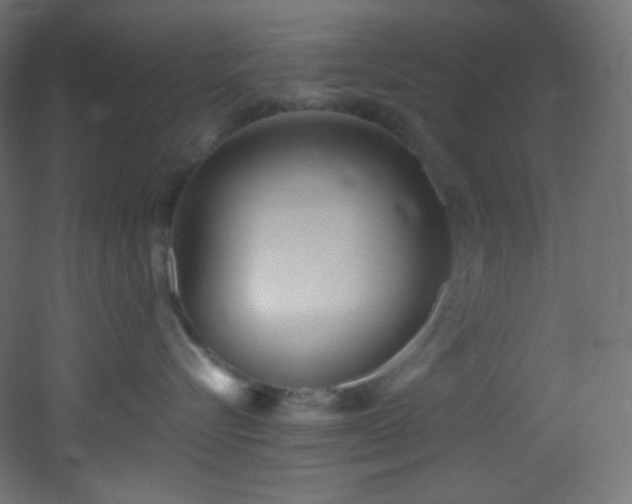 X0000053160576200507111510