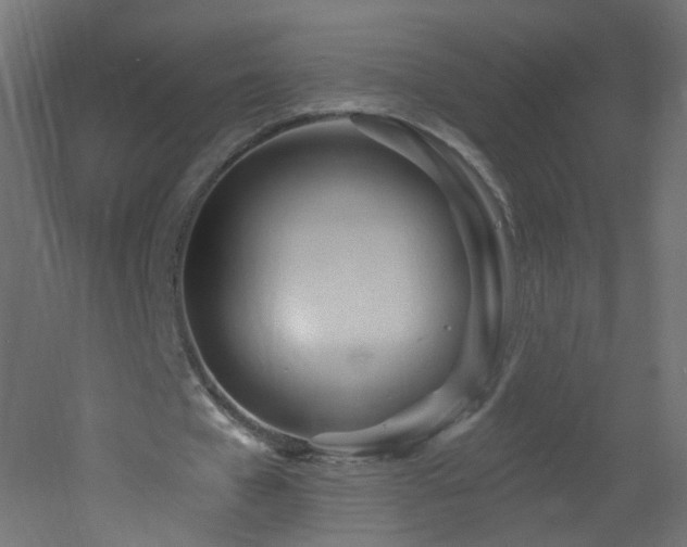 X0000053160577200507111510