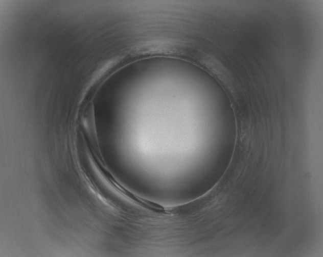 X0000053160578200507111510