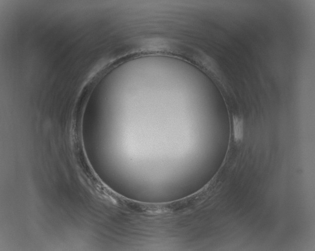 X0000053160579200507111510