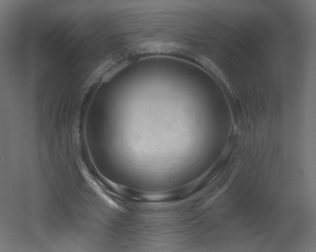 X0000053160581200507111509