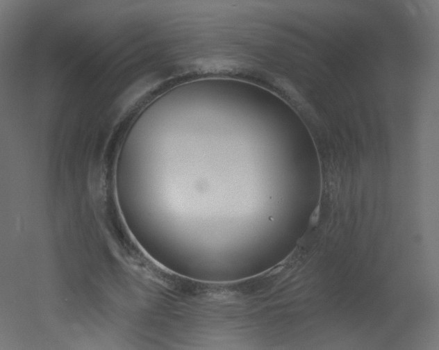 X0000053160583200507111509
