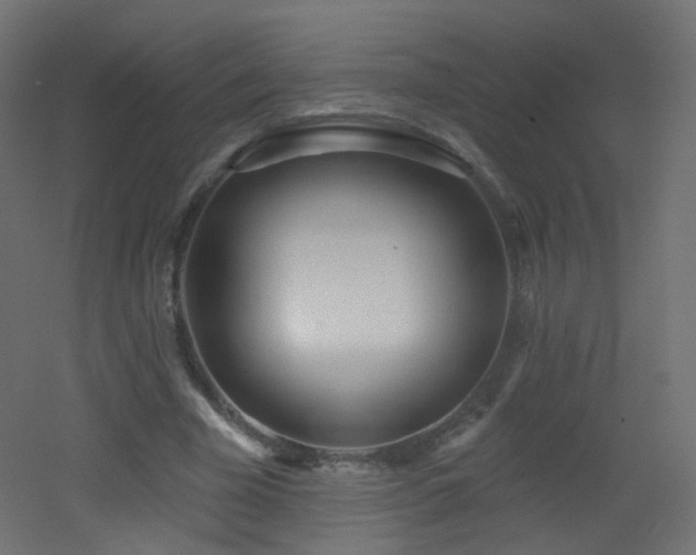 X0000053160585200507111509