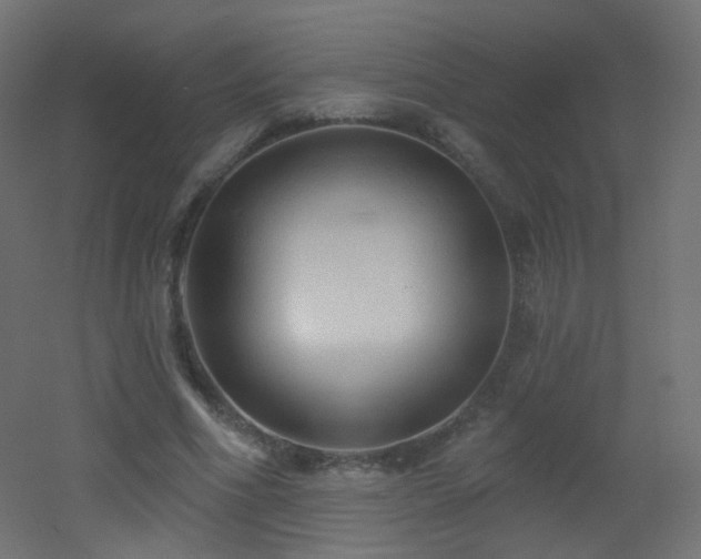 X0000053160586200507111509