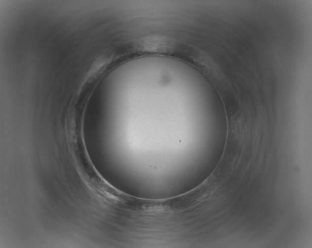 X0000053160587200507111509
