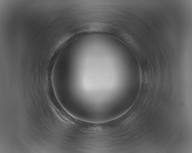 X0000053160588200507111509