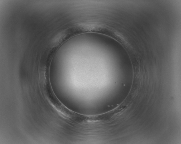 X0000053160590200507111509