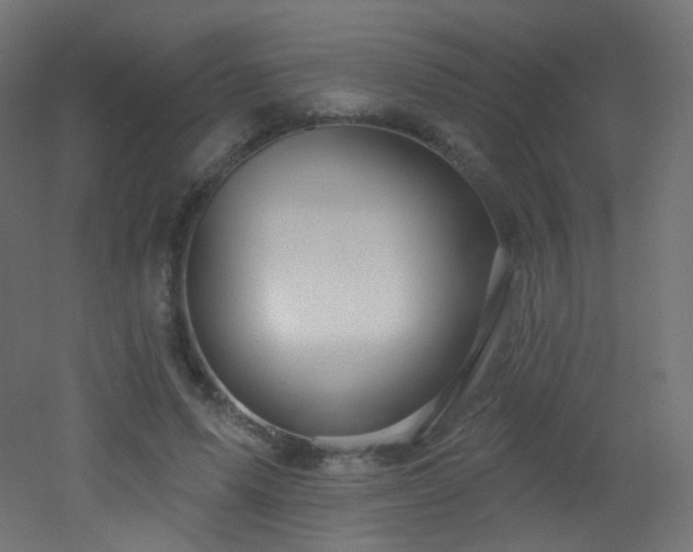 X0000053160591200507111509