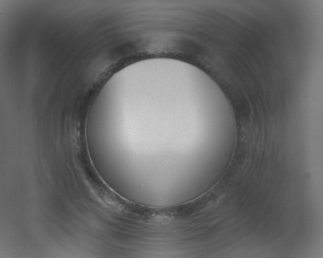 X0000053160592200507111509