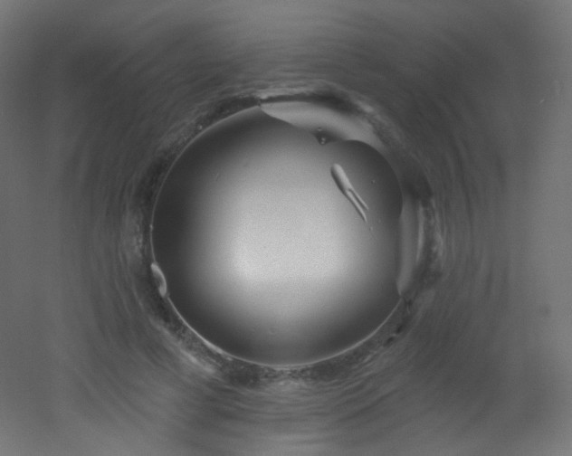 X0000053160593200507111509