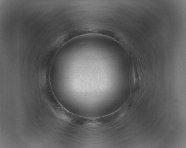X0000053160595200507111509