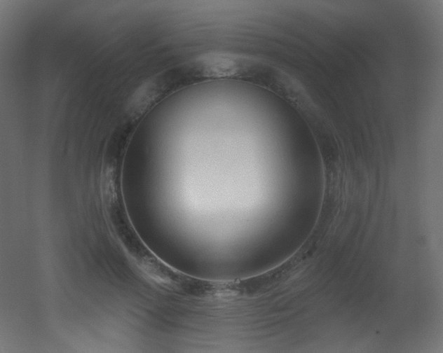 X0000053160598200507111509