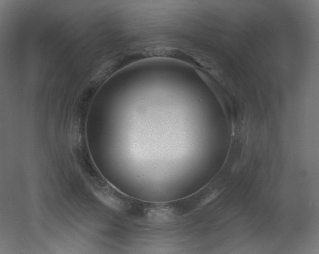 X0000053160599200507111509