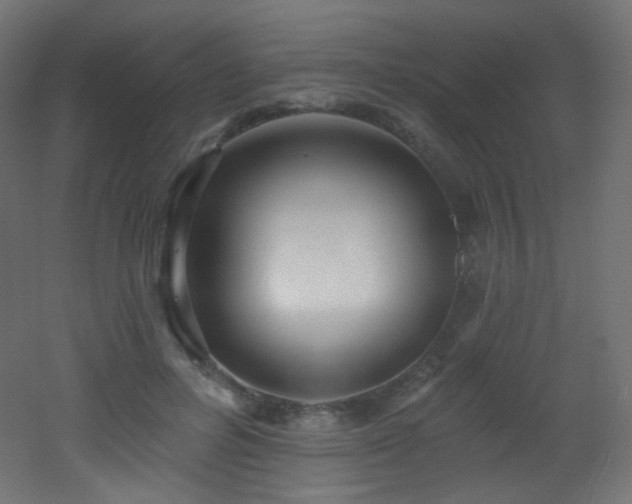 X0000053160600200507111509