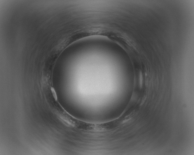 X0000053160601200507111509