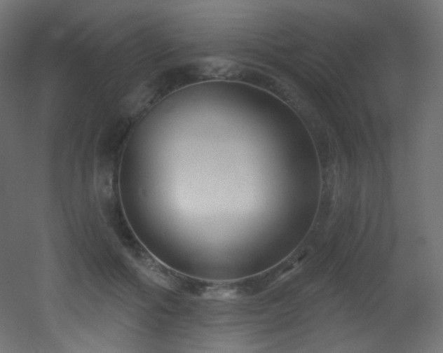 X0000053160602200507111509
