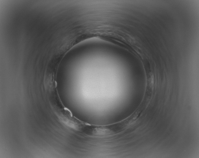 X0000053160605200507111509