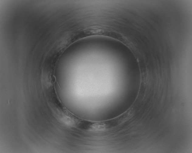 X0000053160606200507111509