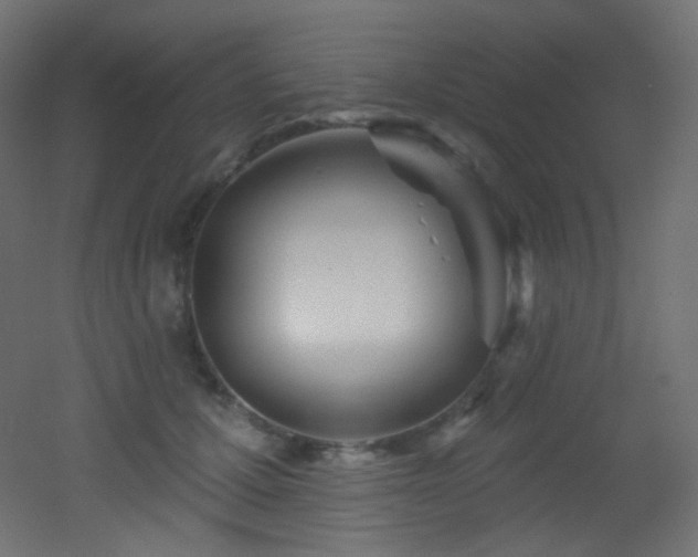 X0000053160607200507111509