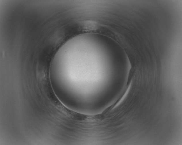 X0000053160608200507111509