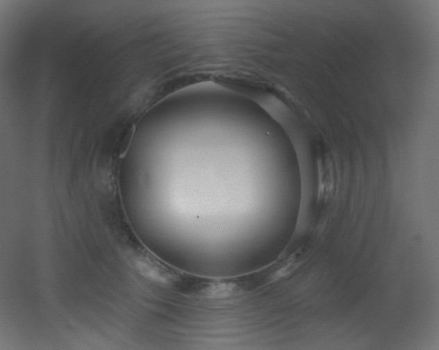 X0000053160609200507111509