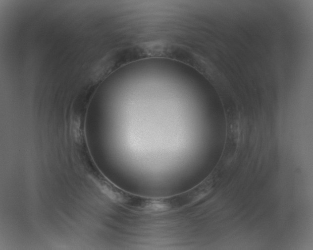 X0000053160610200507111509
