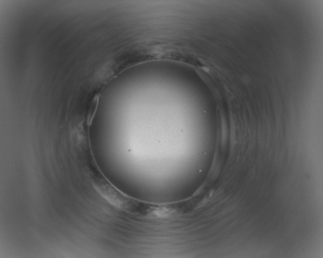 X0000053160611200507111509