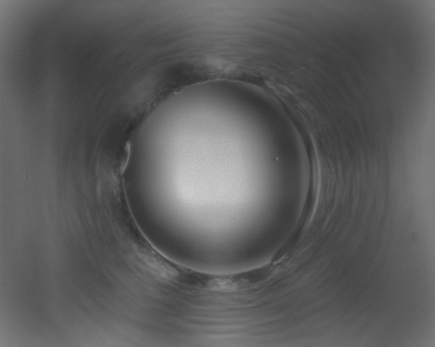 X0000053160613200507111509