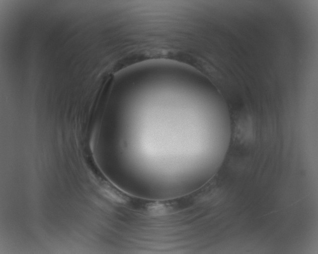 X0000053160616200507111509