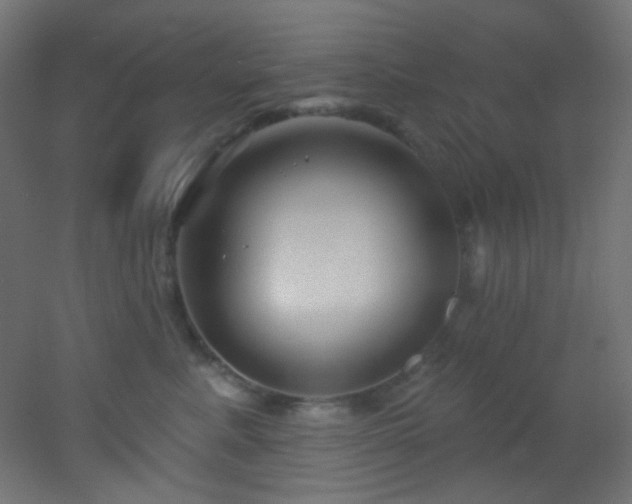 X0000053160619200507111509