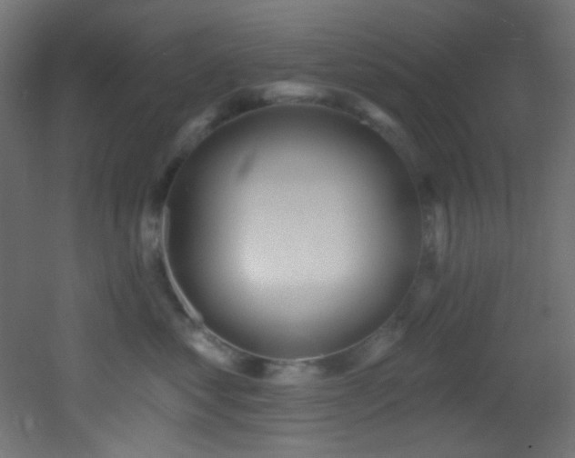 X0000053160621200507111509