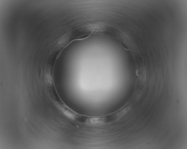 X0000053160622200507111509
