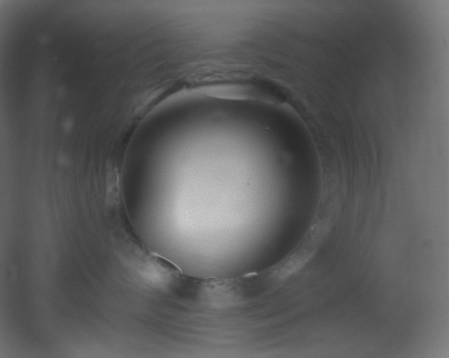 X0000053160624200507111509