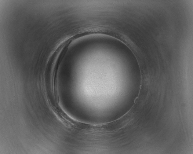 X0000053160626200507111508