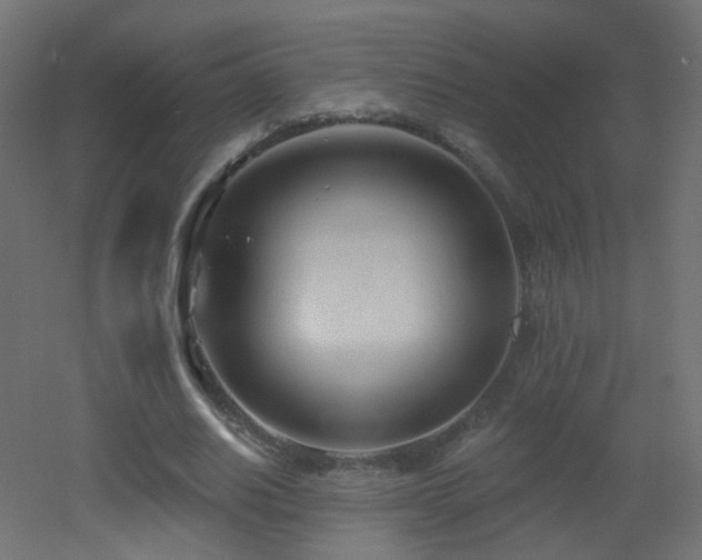 X0000053160630200507111508