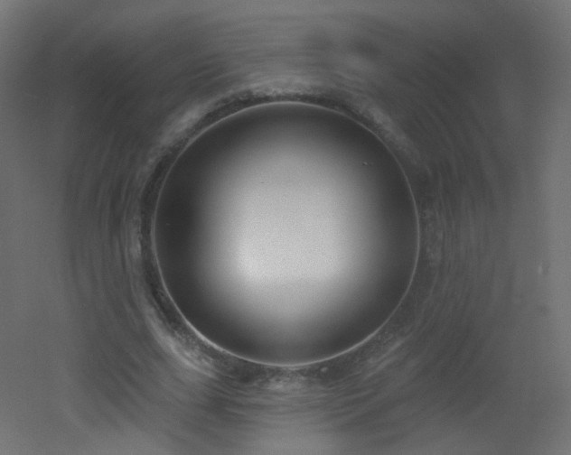 X0000053160631200507111508