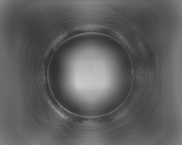 X0000053160633200507111508