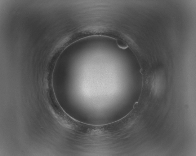 X0000053160635200507111508