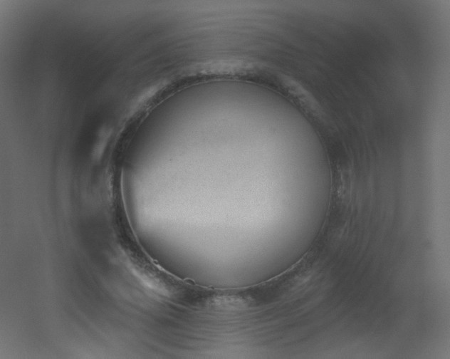 X0000053160636200507111508