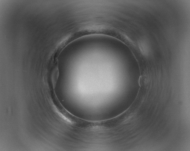 X0000053160637200507111508