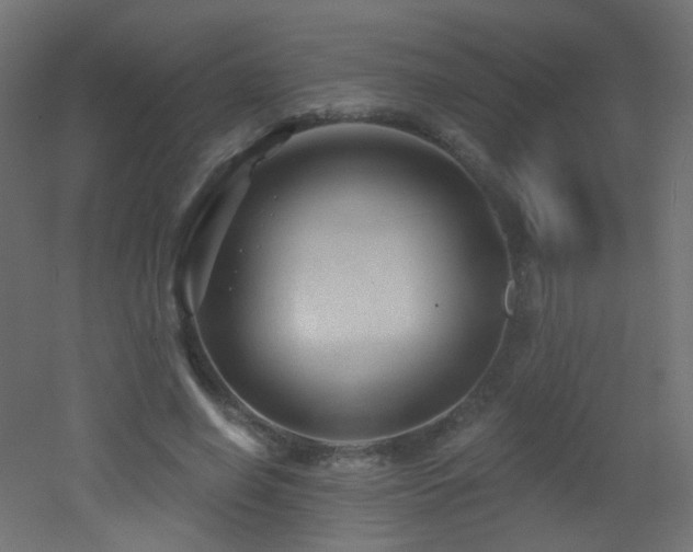 X0000053160638200507111508