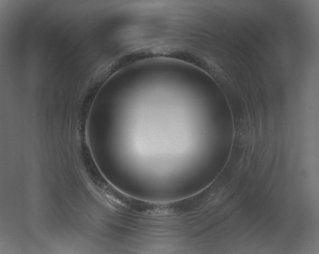 X0000053160639200507111508