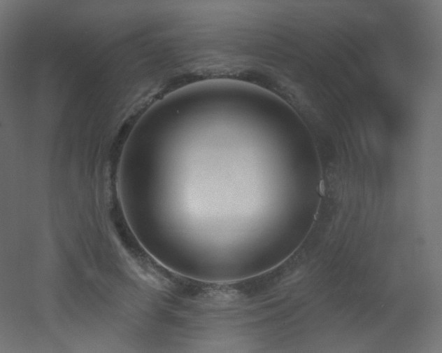 X0000053160642200507111508