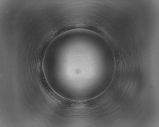 X0000053160643200507111508